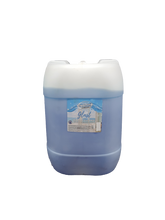 Load image into Gallery viewer, 25LT WINDOW CLEANER