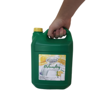 Load image into Gallery viewer, 5LT DISHWASHING LIQUID